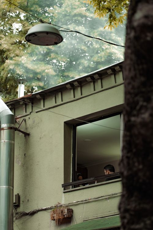 Free A green urban house with an open window, surrounded by lush greenery. Stock Photo