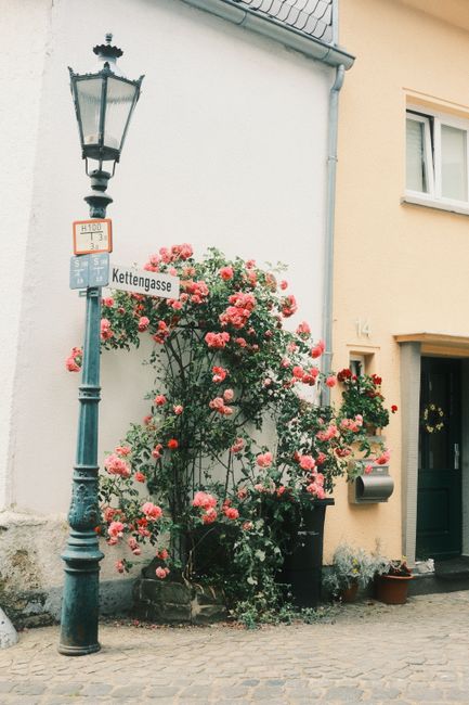 Cobblestone street with vintage lamp and vibrant roses in city setting.