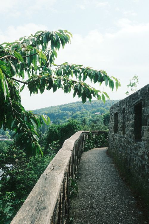 Free Explore a serene stone pathway lined with lush greenery and scenic views. Stock Photo