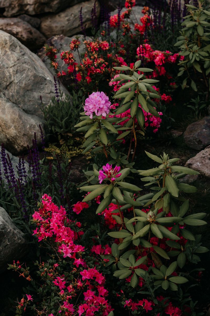 Decorative garden stones among flowers