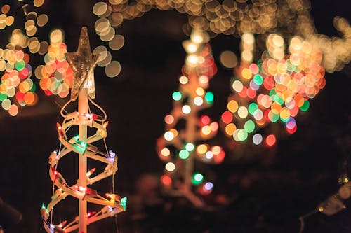 Free stock photo of christmas decorations