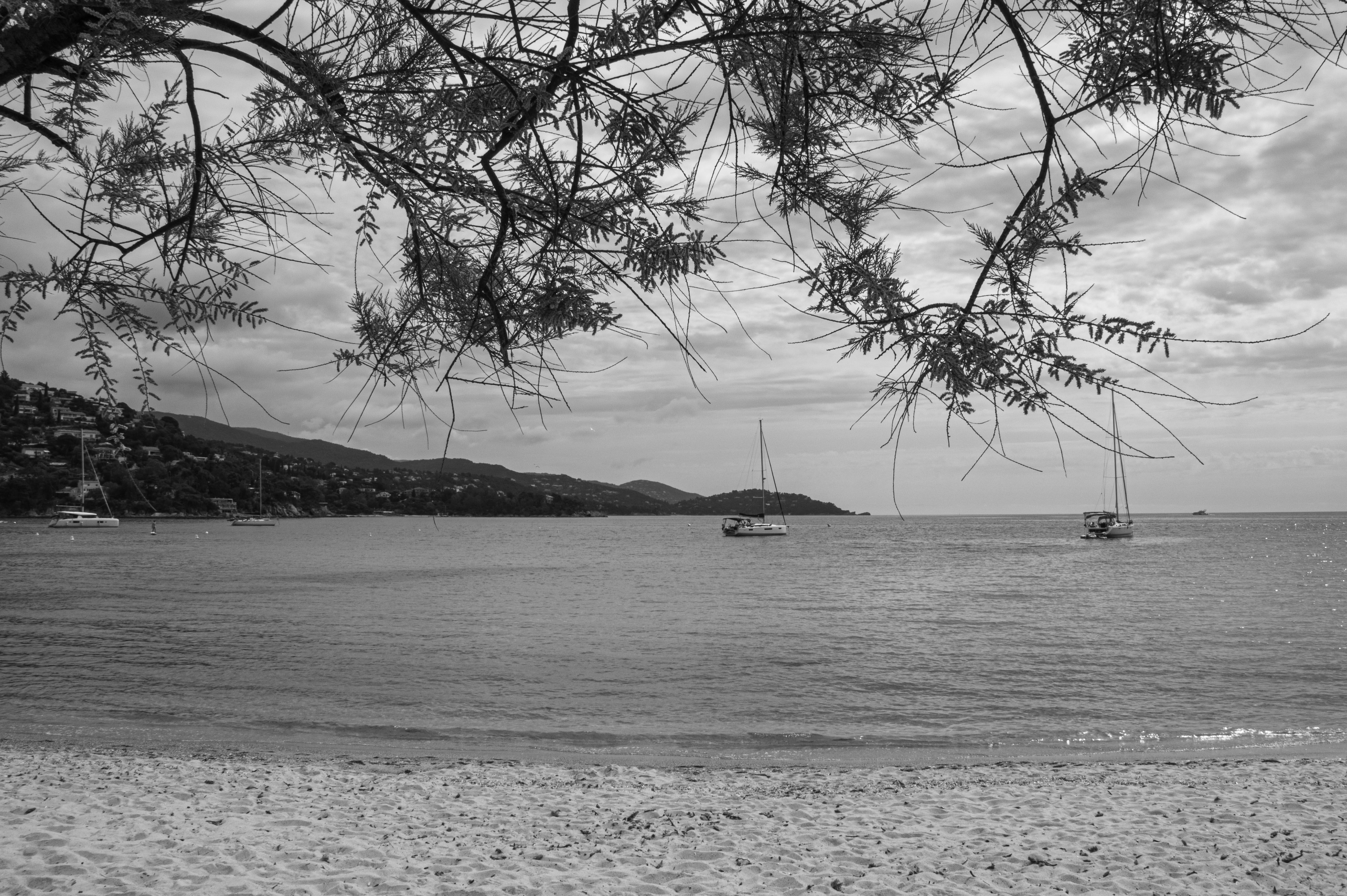 Peaceful black and white scene at Le Lavandou beach with sailboats in view.
