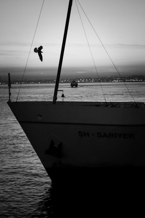 Imagine de stoc gratuită din alb-negru, barcă, catarg