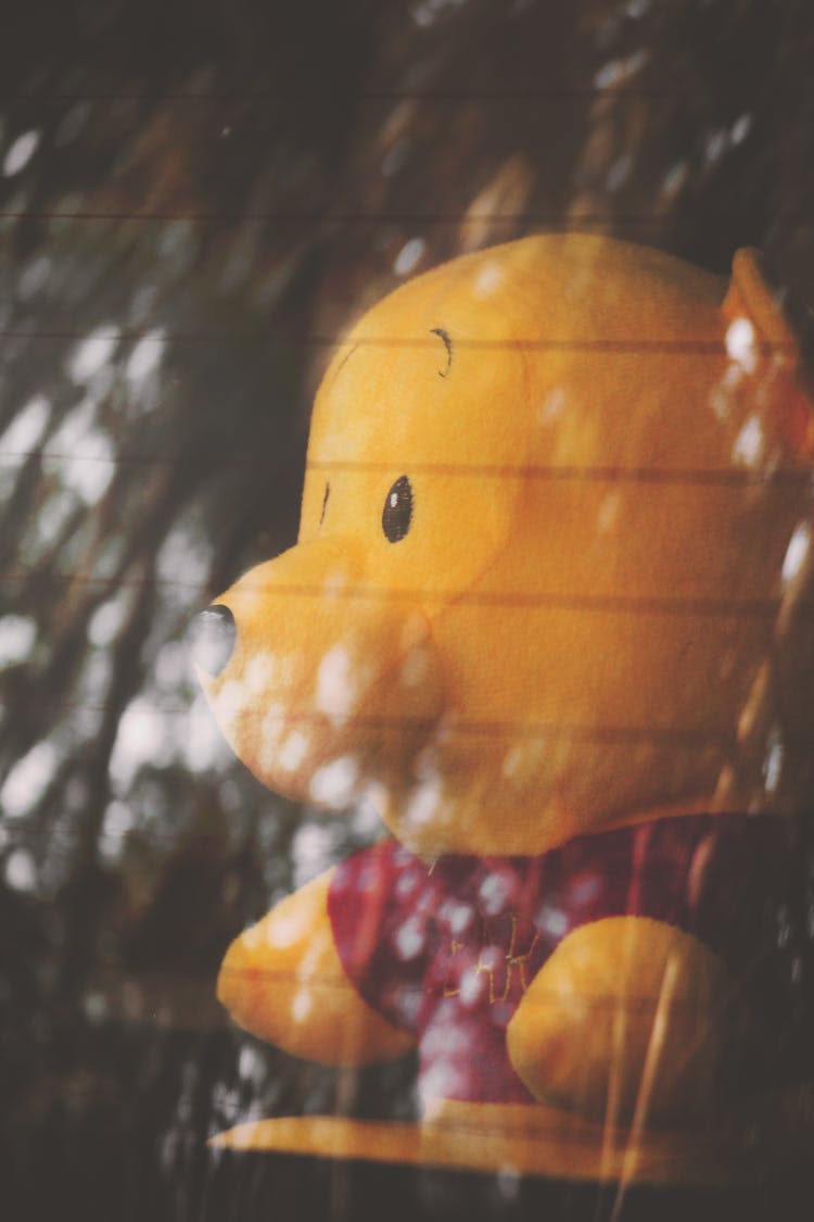 Winnie The Pooh