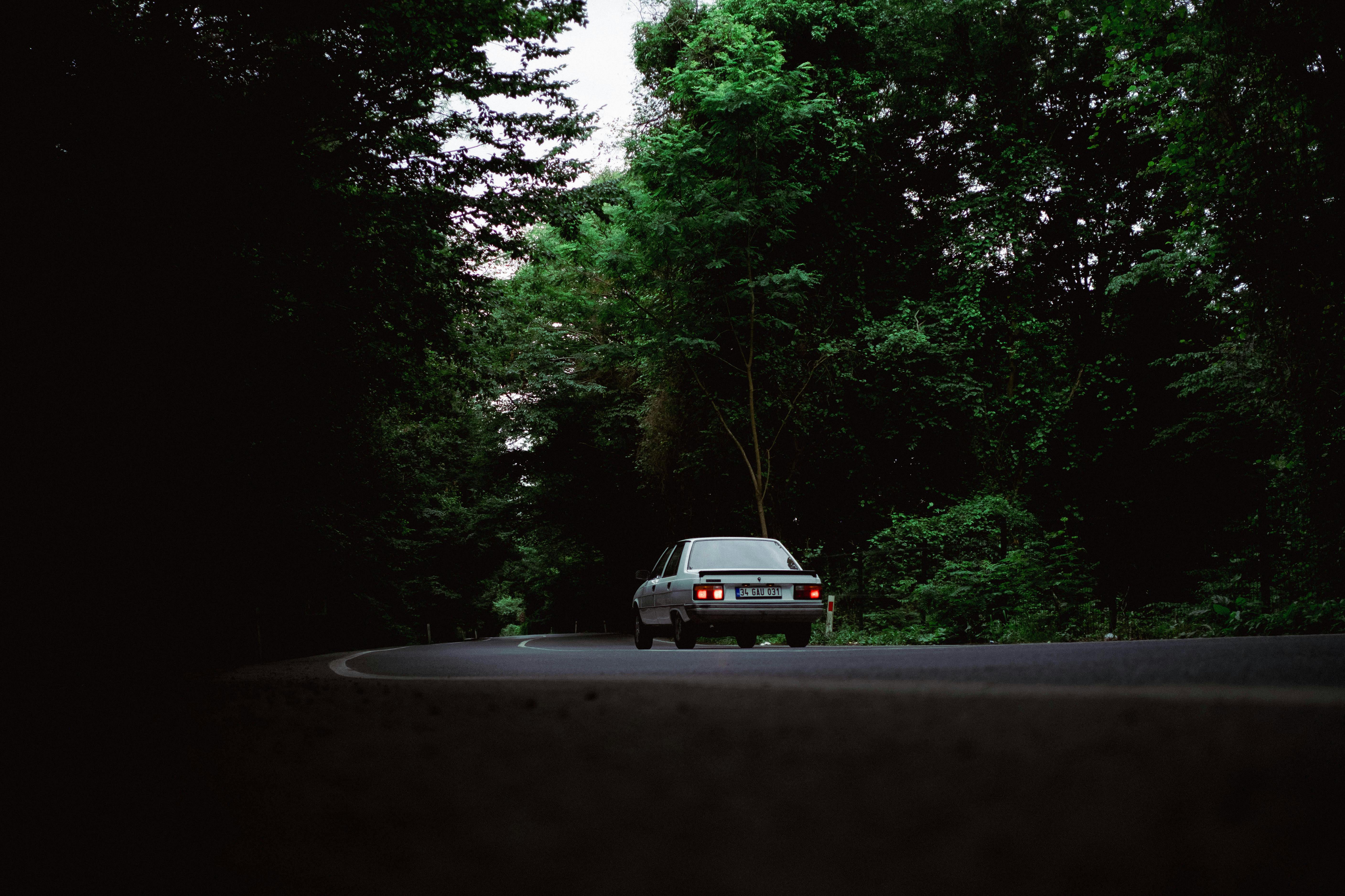 Classic vintage car driving through lush summer forest road in Istanbul, Türkiye.