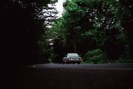 Classic vintage car driving through lush summer forest road in Istanbul, Türkiye.