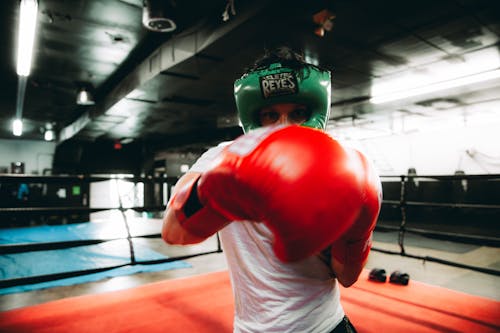 Kostnadsfri bild av boxare, boxning, handskar