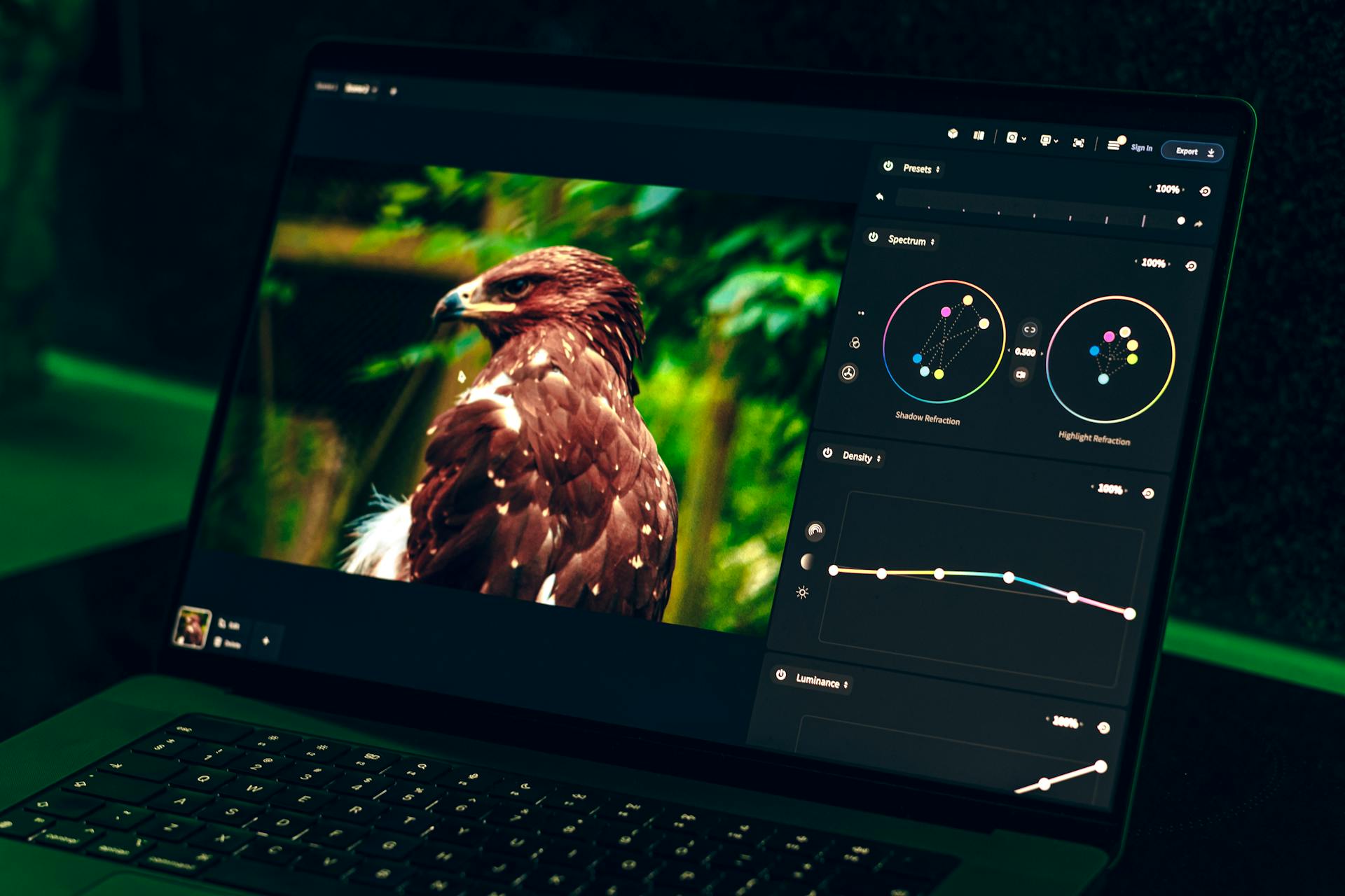 Laptop screen displaying eagle image editing with color correction tools at night.