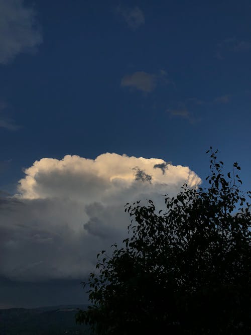 Kostenloses Stock Foto zu baum, himmel, landschaftlich