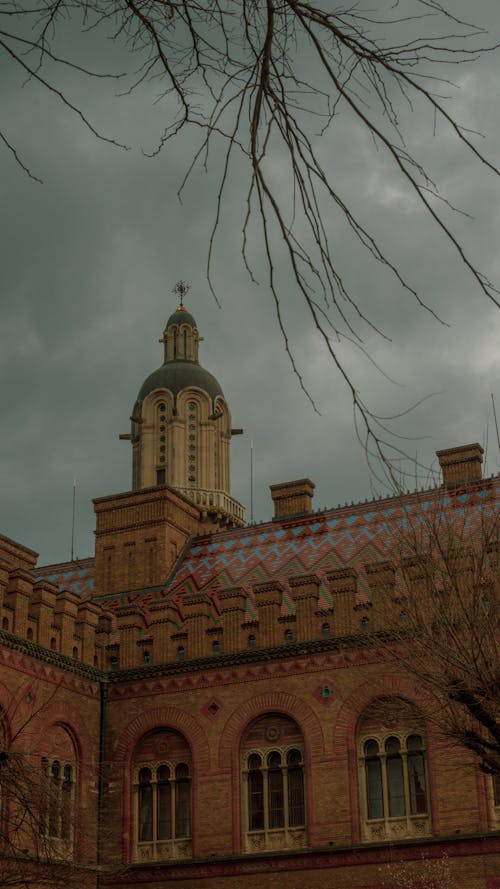 切爾諾夫策大學, 地標, 垂直拍攝 的 免費圖庫相片