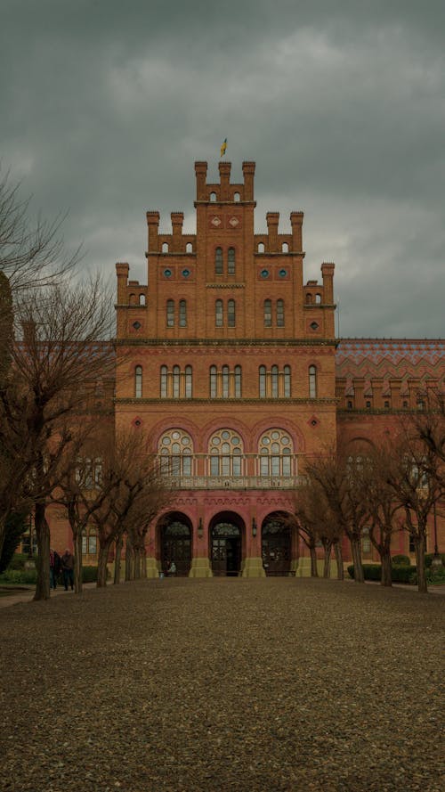 Foto d'estoc gratuïta de arbres, chernivtsi, ciutat