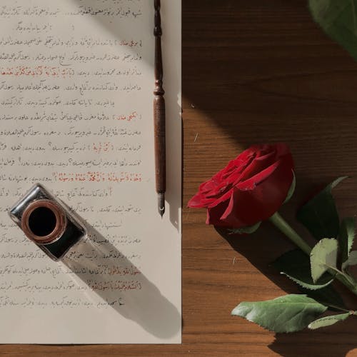 Rose near Paper with Writing in Arabic