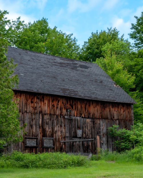 Wooden Barn among Trees in Summer