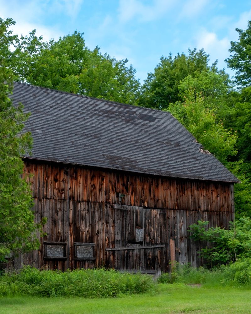 Charming old wooden barn among trees