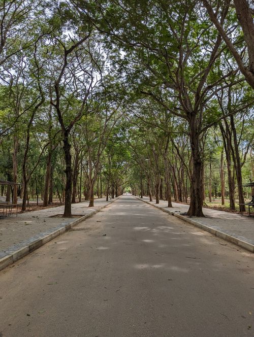 Free Peaceful tree-lined path in Kataragama, Sri Lanka, offers a refreshing summer escape. Stock Photo