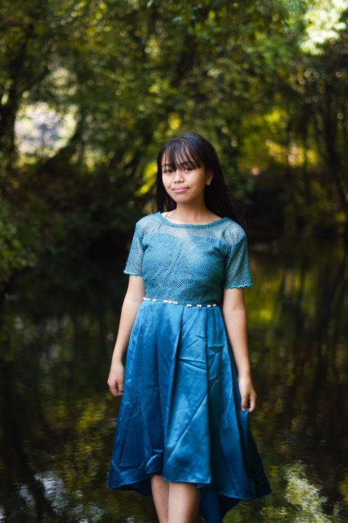 Pretty Brunette in Blue Dress Free Stock Photo Pretty Brunette in Blue Dress Free Stock Photo