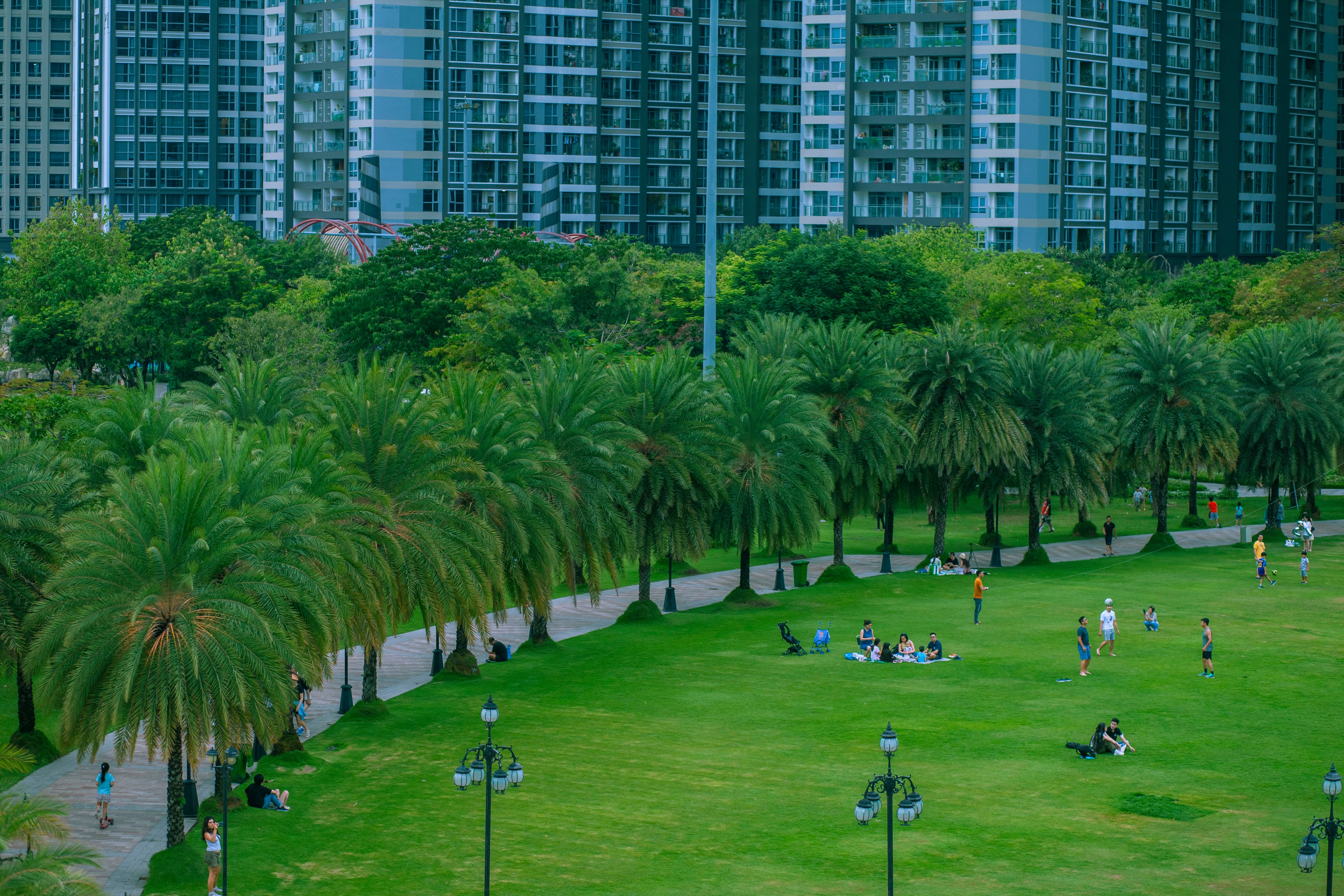Lively urban park with palm trees and people enjoying activities against a skyscraper backdrop.