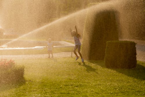 Children Jumping in the Water from a Sprinkler in a Garden 