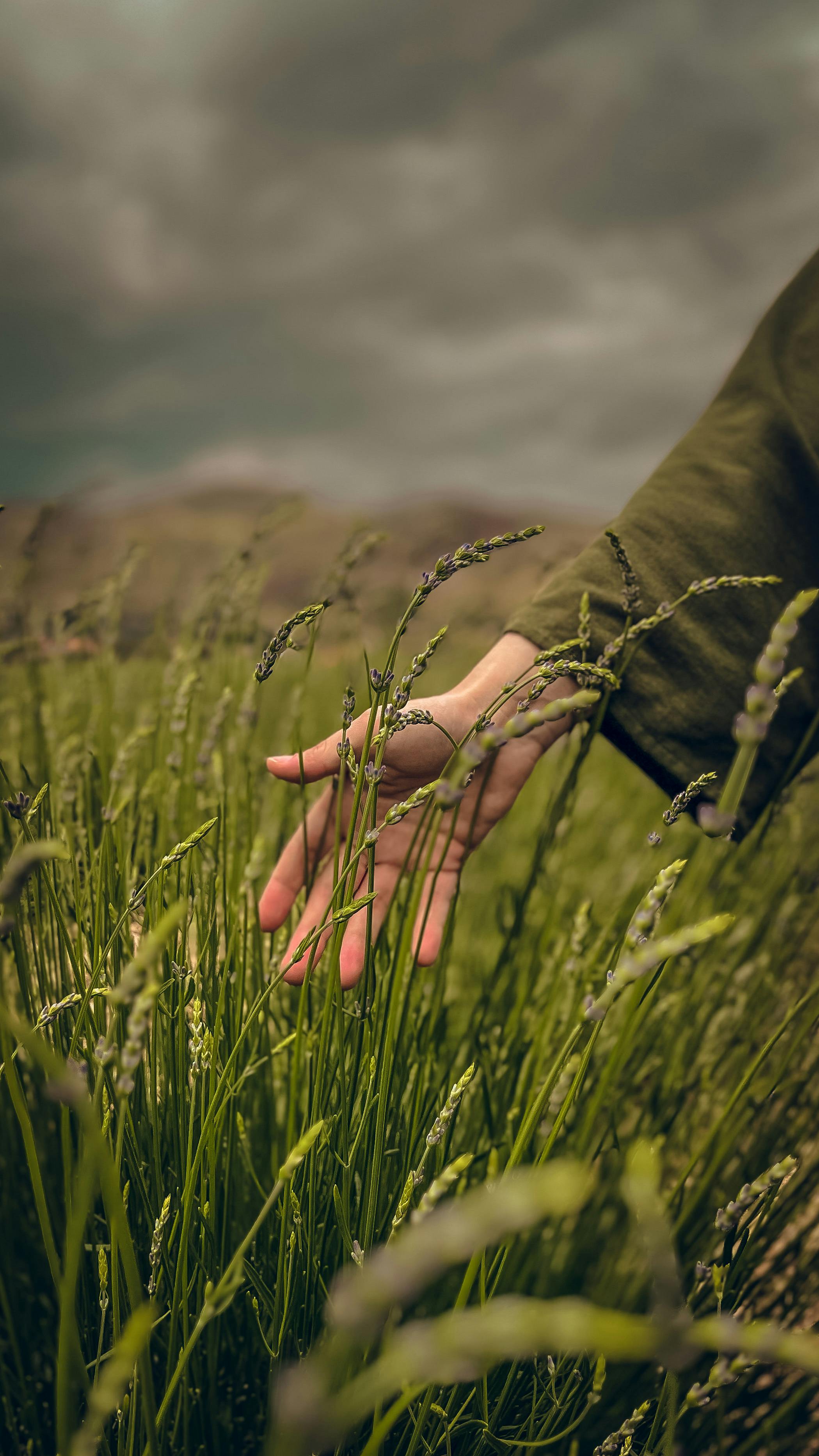 Touch Grass Gloves