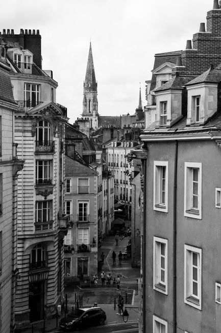 A black and white cityscape featuring a cathedral and surrounding historic buildings.