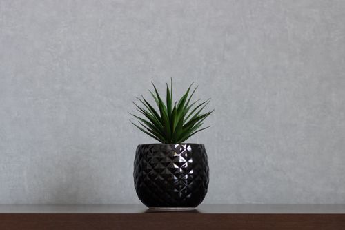Free Simple yet elegant black pot with green succulent on a wooden surface. Stock Photo