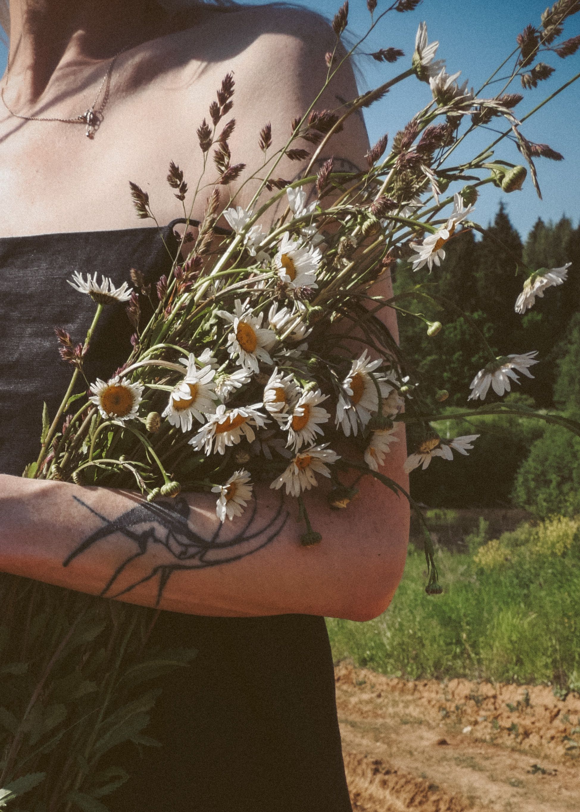 Woman Holding a Bunch of Flowers · Free Stock Photo