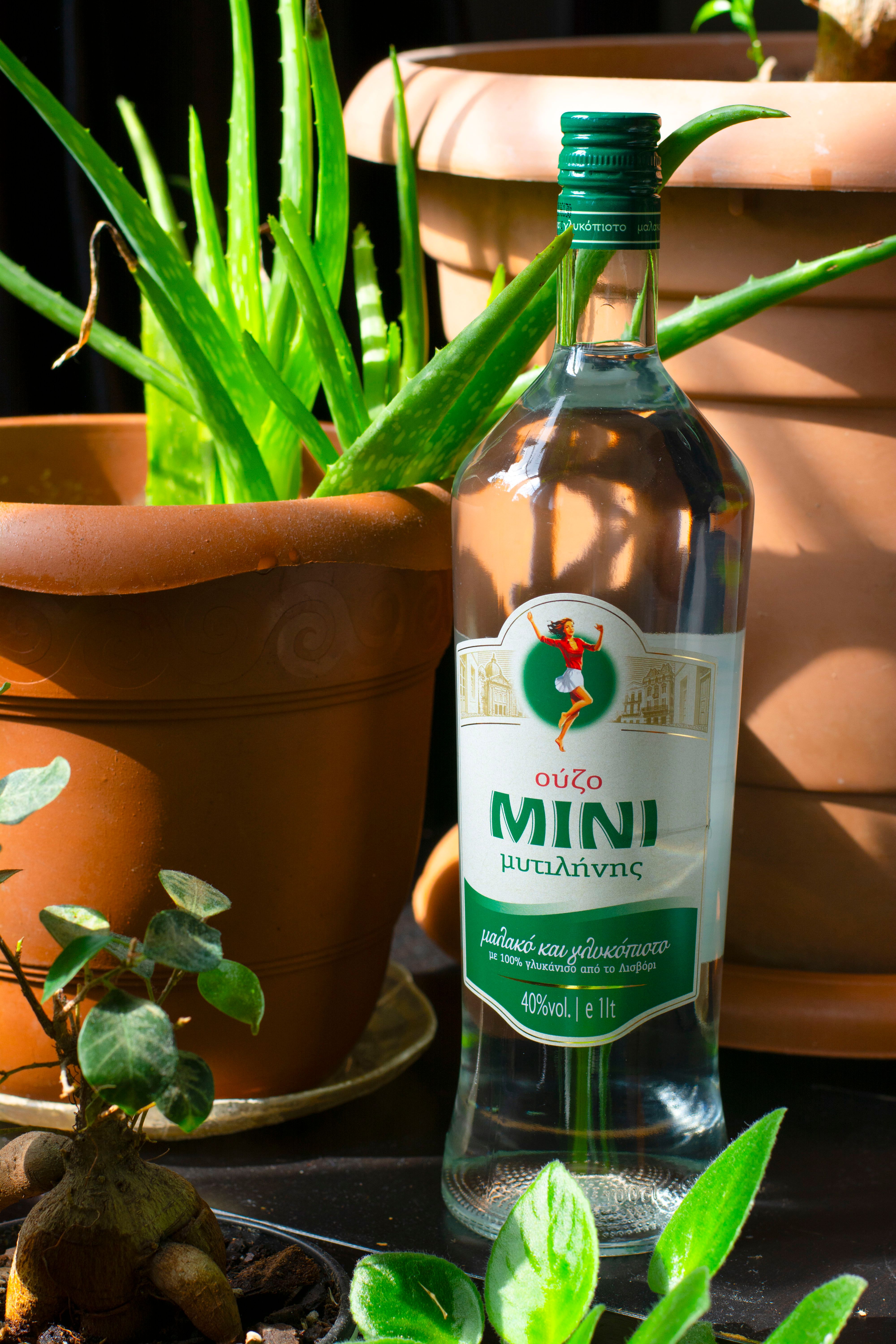 Foto van een fles Ouzo 