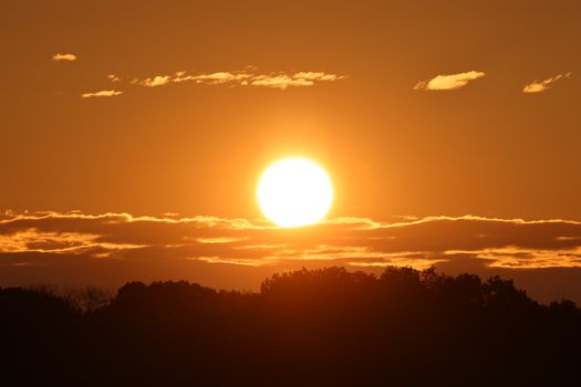 Captivating golden sunset over silhouetted trees and scattered clouds.