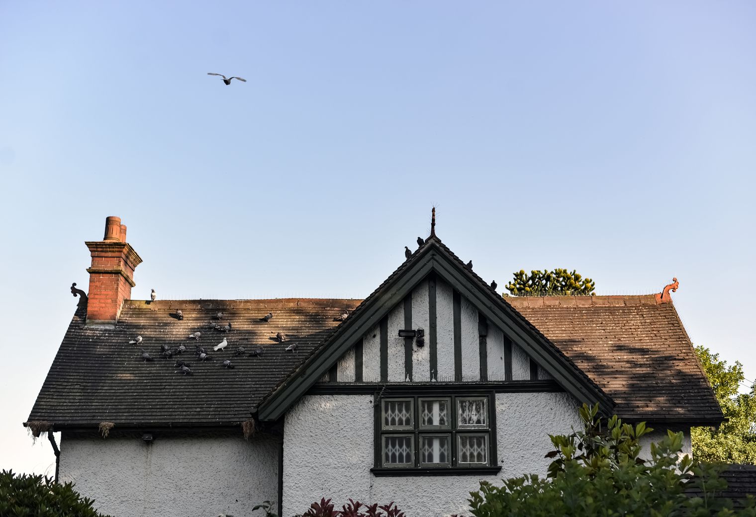 Carcroft — professional movers carrying furniture on a house move