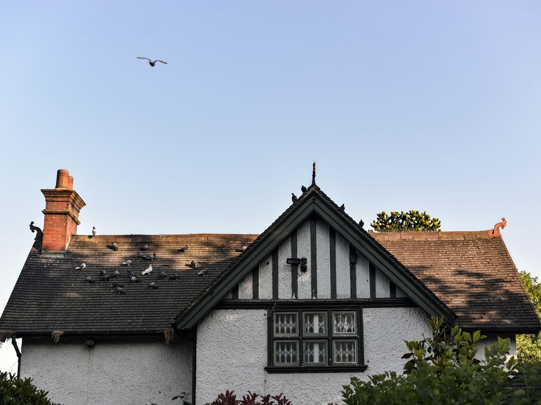 Burford — professional movers carrying furniture on a house move