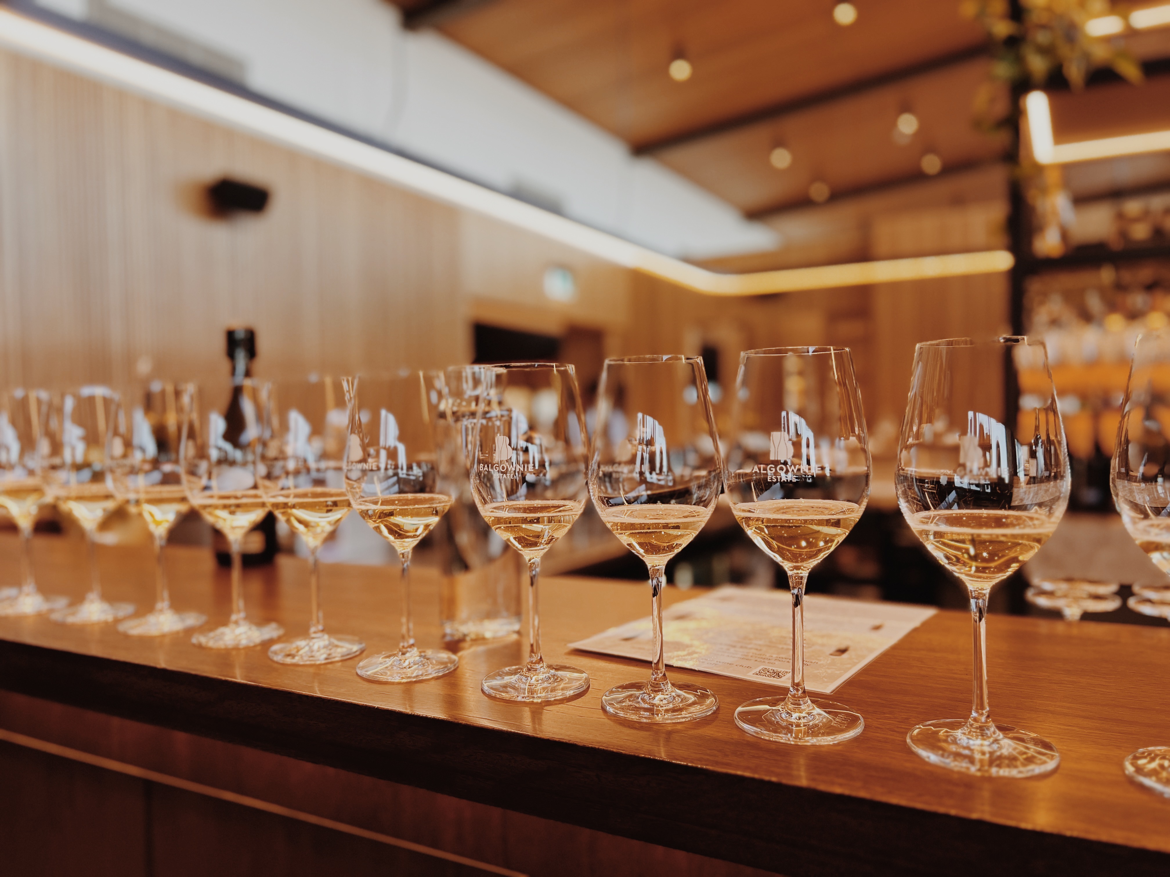wine tasting flight glasses lined up