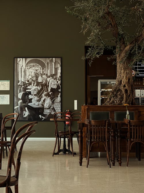 A Restaurant Room with a Bonsai Tree