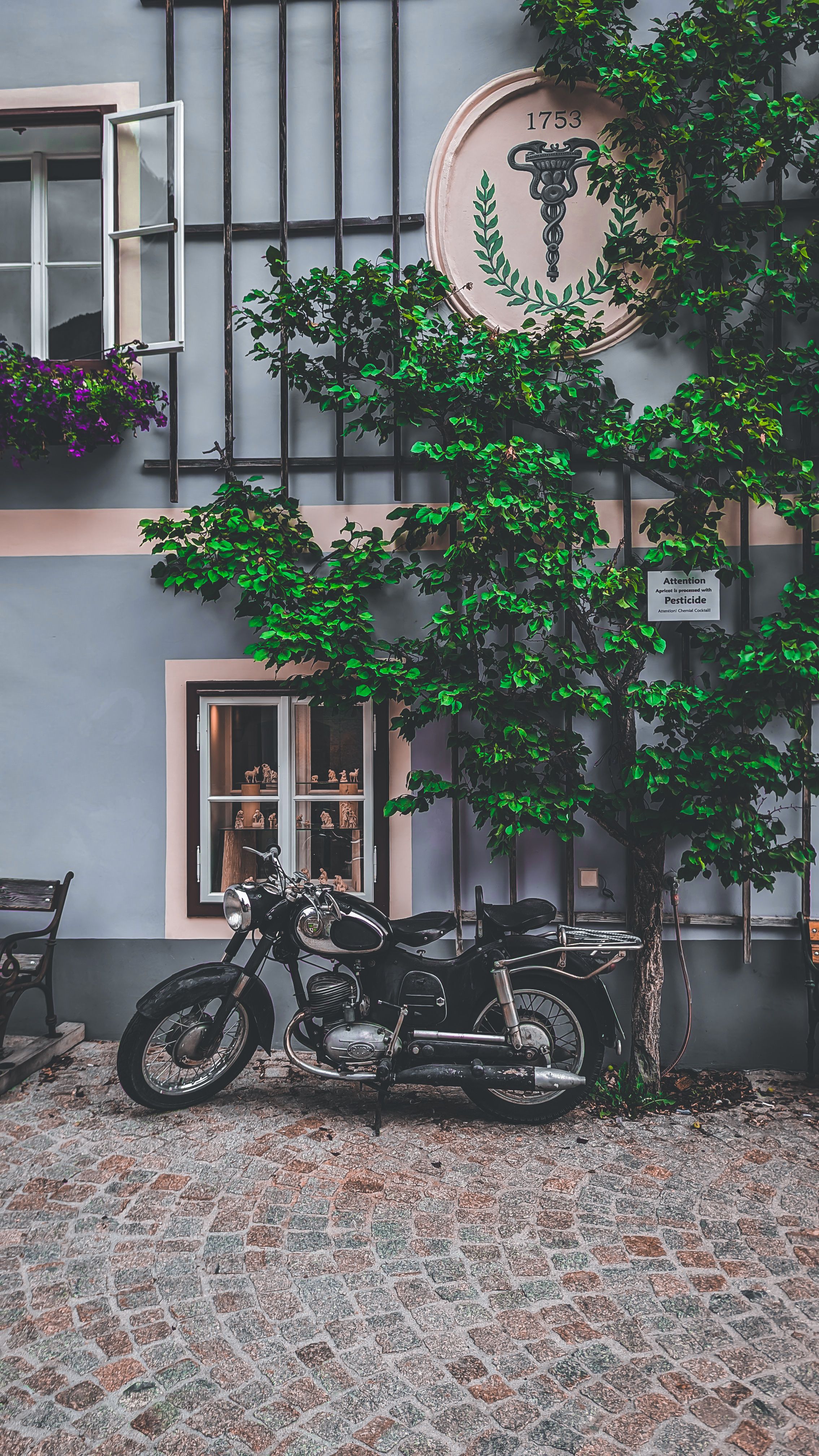 A classic motorcycle parked by a lush vine-covered wall in an Austrian town setting.
