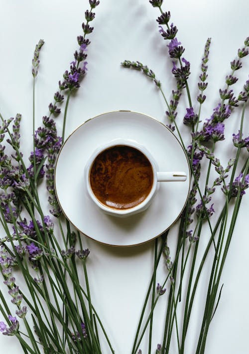 Immagine gratuita di caffè nero, decorazione, fiori