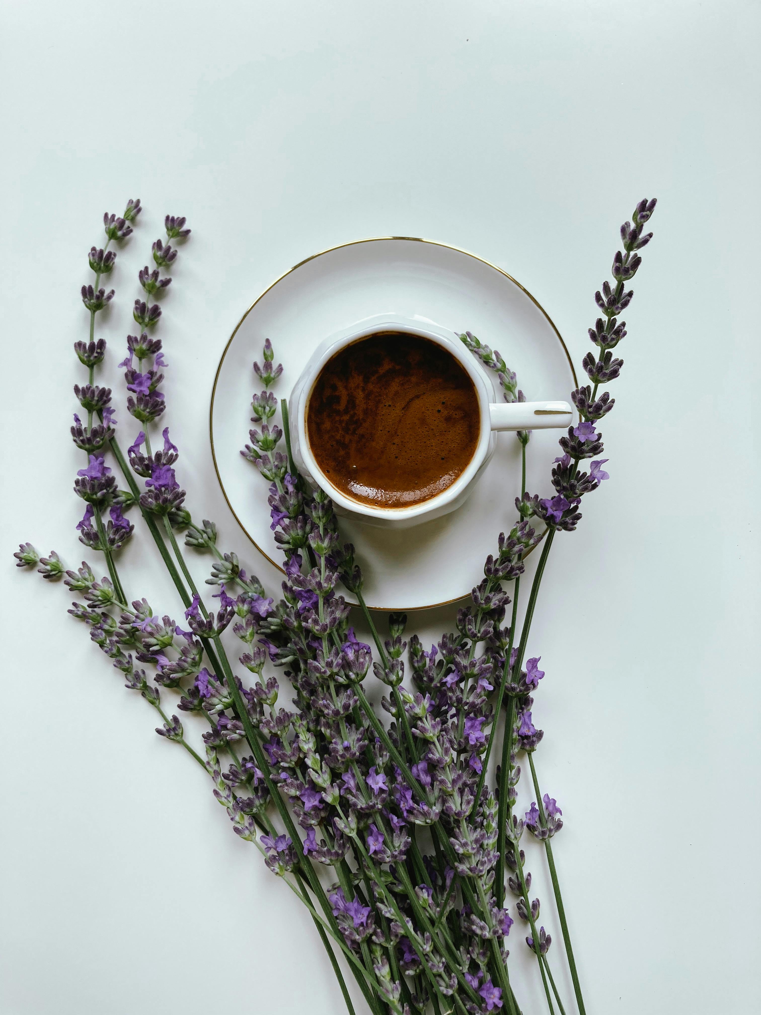 https://images.pexels.com/photos/17286176/pexels-photo-17286176/free-photo-of-a-cup-of-coffee-and-lavender-on-the-table.jpeg