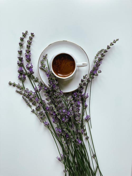 Free A Cup of Coffee and Lavender on the Table  Stock Photo