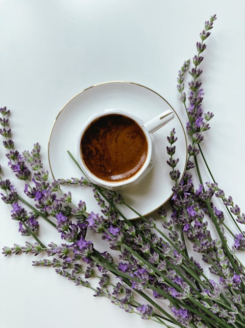 Free A Cup of Coffee and Lavender on the Table  Stock Photo