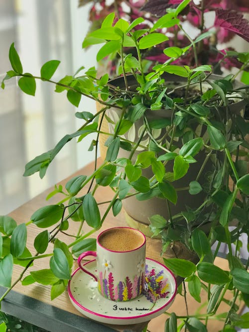 A Cup of Coffee on the Table with Houseplants 