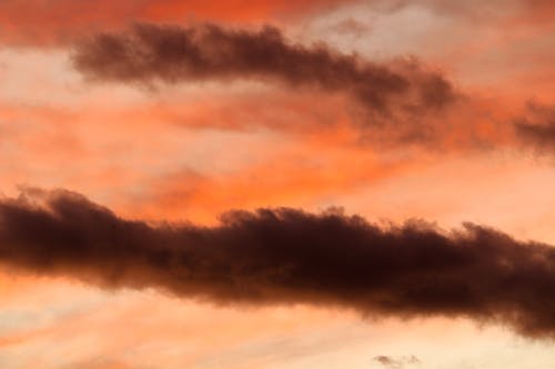 ドラマチックな空, ピンクの空, 夕方の無料の写真素材