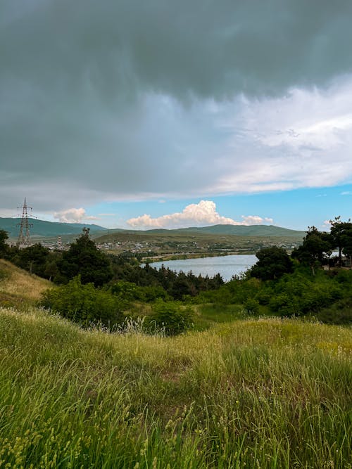 Imagine de stoc gratuită din câmp, dealuri, fotografiere verticală