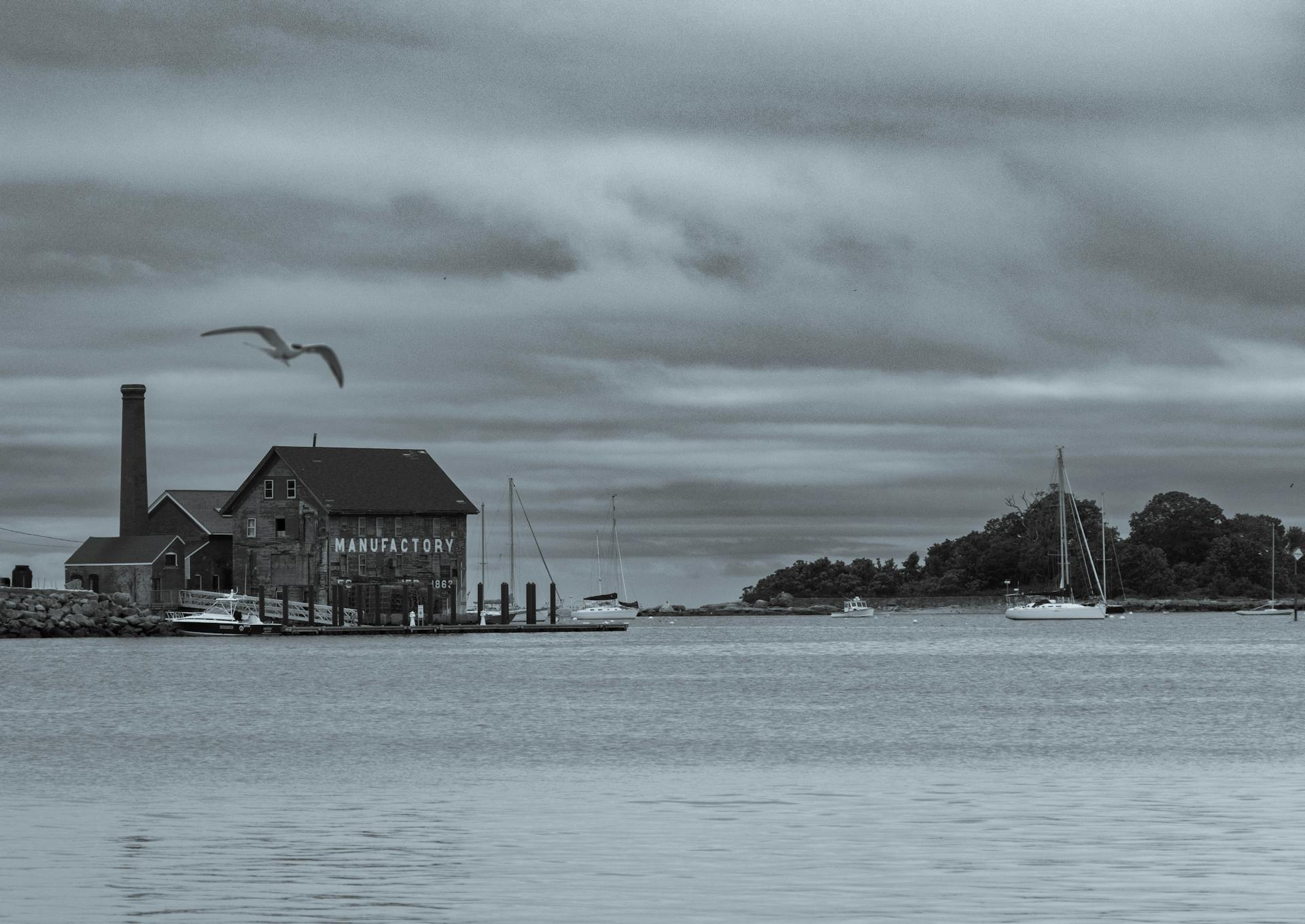Black and white photo of manufactory by the harbor with boats and birds under an overcast sky.