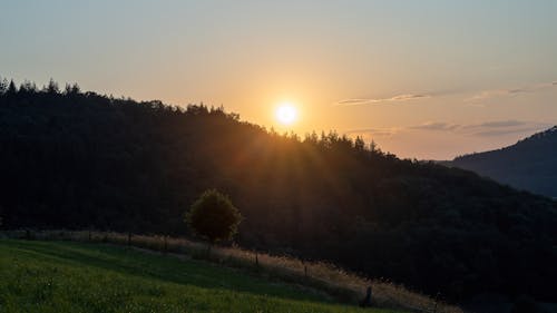 Imagine de stoc gratuită din apus, arbori, codru