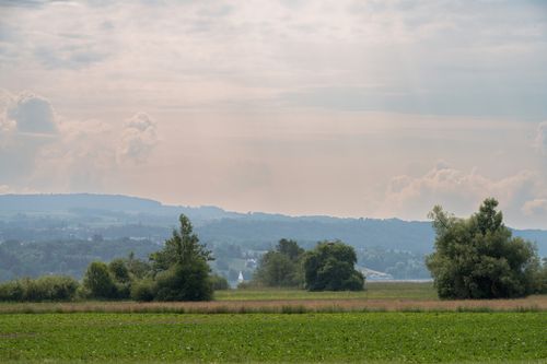 Free Serene view of a countryside field with trees and a cloudy sky creating a peaceful landscape. Stock Photo