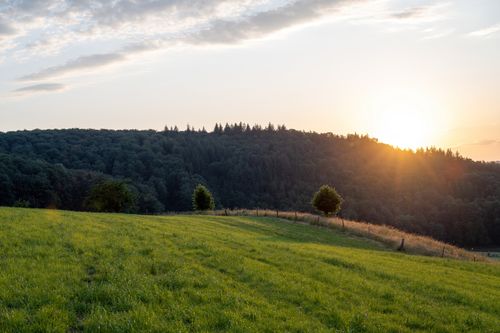 Free A peaceful sunset over a lush green countryside field with a forested hill in the background. Stock Photo