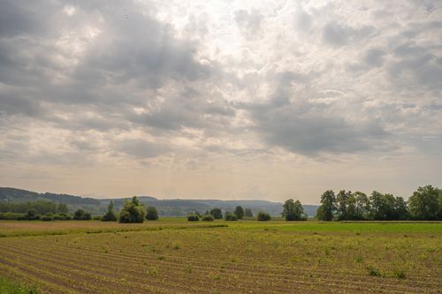Free Wide view of a rural field with overcast sky and distant hills, showcasing natural agricultural landscape. Stock Photo