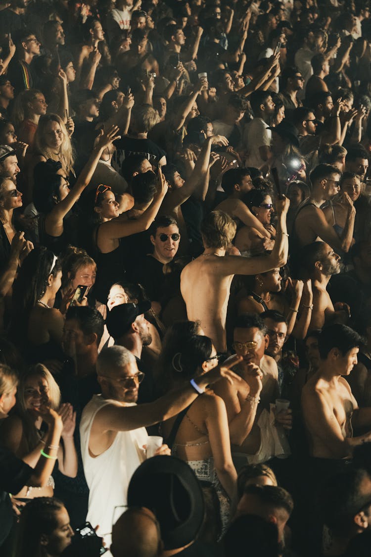 Crowd Of People During Music Concert