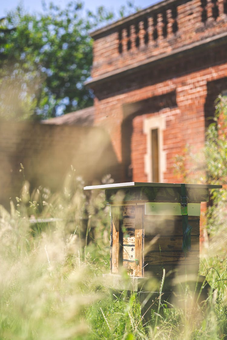 Wooden Beehive Behind Grasses