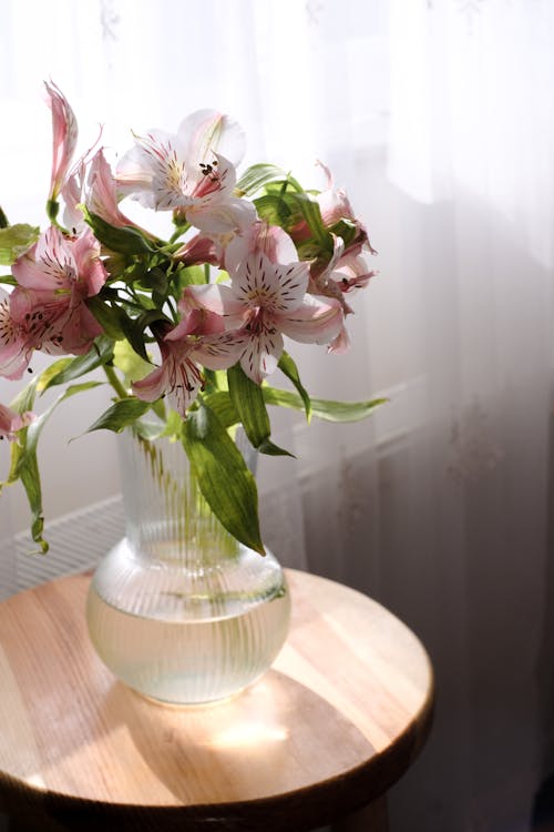 Peruvian Lily Flowers on Table