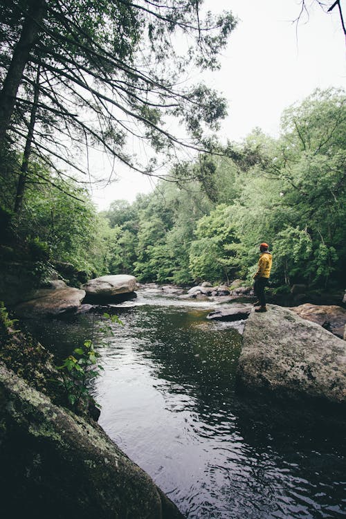 Man on Rocks over River in Forest