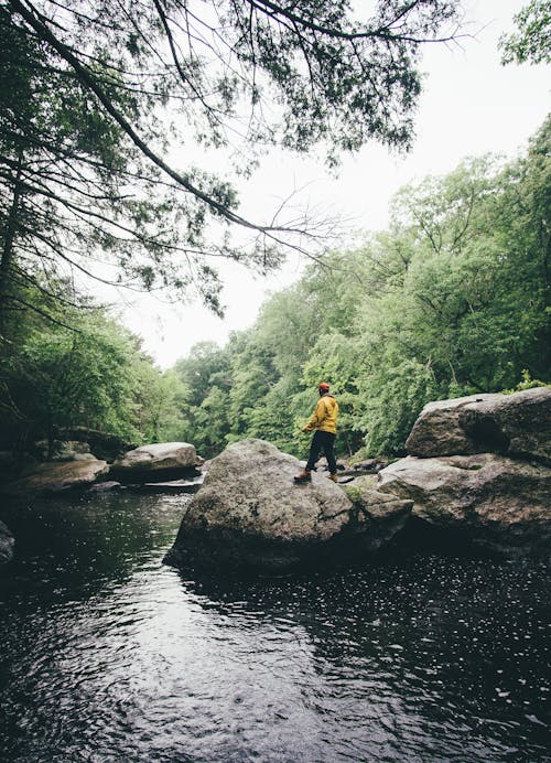 강, 남자, 모험의 무료 스톡 사진